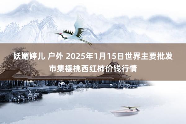 妖媚婷儿 户外 2025年1月15日世界主要批发市集樱桃西红柿价钱行情