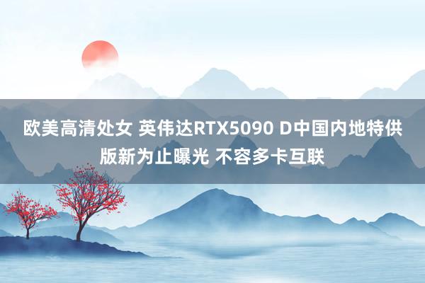 欧美高清处女 英伟达RTX5090 D中国内地特供版新为止曝光 不容多卡互联