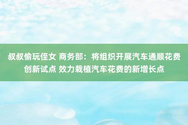叔叔偷玩侄女 商务部：将组织开展汽车通顺花费创新试点 效力栽植汽车花费的新增长点